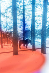 男女通用款 Scrub Canvas Club 刷手衣:Yoshinori Mizutani - Classico克萊希台灣官方網站-スクラブ